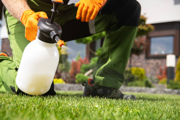 Best Bed Bug Extermination  in Hedwig Village, TX