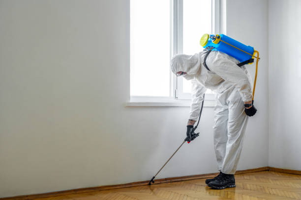 Professional Pest Control in Hedwig Village, TX
