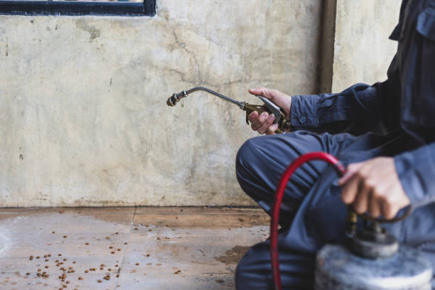 Best Commercial Pest Control Services  in Hedwig Village, TX